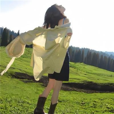 笨贼龙虎榜